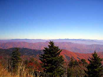 fall foliage