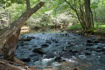 mountain river