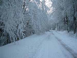 winter